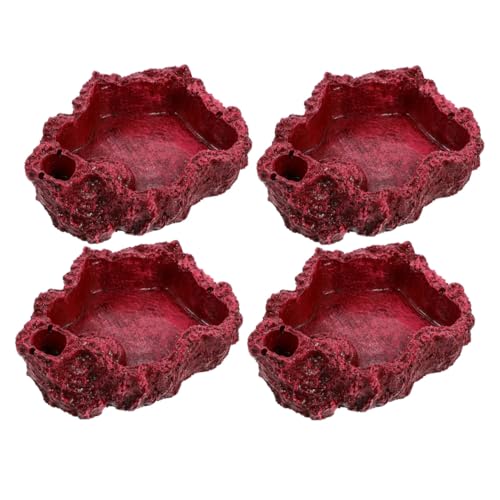 GALPADA 4 Stück Teiliges Reptilien Futternapf aus Resin Flache Wasserschale mit Glatter Oberfläche Leicht zu Reinigen für Schildkröten Eidechsen und Kleine Terrarientiere von GALPADA