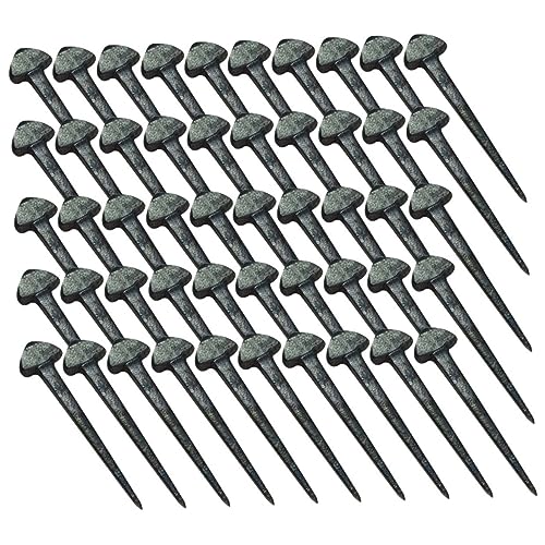 GALPADA 50 Stück Hufnägel für Pferde Professionelles Werkzeug Austauschbare Eisen Nägel für Präzisen Sitz für Stall und Outdoor Nutzung Zubehör für Pferdeliebhaber GALPADA 50 Stück Hufnägel für Pferde Professionelles Werkzeug Austauschbare Eisen Nägel für Präzisen Sitz für Stall und Outdoor Nutzung Zubehör für Pferdeliebhaber von GALPADA