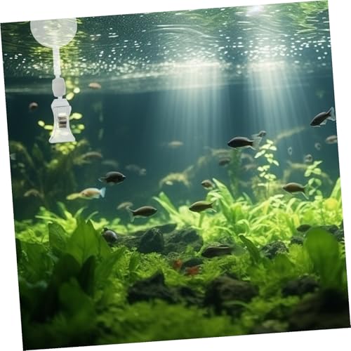 GALPADA 6 Stück Aquarium Saugnapf Clip Futterhalter Weiß Wasserfester Fischfutterhalter für Seetang und Gemüse Saugnapf-Klammer zur Futterbefestigung im Fischbecken Geeignet für Aquarium GALPADA 6 Stück Aquarium Saugnapf Clip Futterhalter Weiß Wasserfester Fischfutterhalter für Seetang und Gemüse Saugnapf-Klammer zur Futterbefestigung im Fischbecken Geeignet für Aquarium von GALPADA