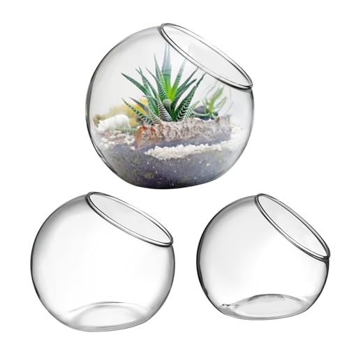 GALPADA 6 Stück Glas Terrarium Pflanzgefäße mit Vasen für Sukkulenten Luftpflanzen Gärten Klare Glasbehälter mit Schrägem Abschluss für Home Office Dekoration GALPADA 6 Stück Glas Terrarium Pflanzgefäße mit Vasen für Sukkulenten Luftpflanzen Gärten Klare Glasbehälter mit Schrägem Abschluss für Home Office Dekoration von GALPADA