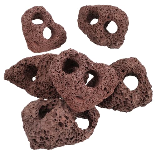 GALPADA 6 Stück Vulkangestein Ornamente Zubehör Aquarium Element Aquarium Felsen Natürliche Dekorationen Natürliche Vulkangesteine Fisch Ornamente Für Aquarien Dekorative von GALPADA
