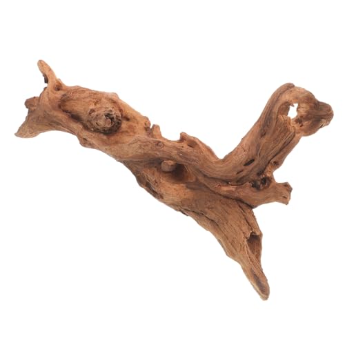 GALPADA Aquarium Dekoration Natürlicher Wurzelholz Ornament Zufällige Form für Fischbecken und Aquarien Landschaftsbau Lebensecht und Vielseitig Einsetzbar von GALPADA