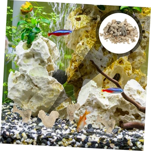GALPADA Aquarium Filterkoralle Bodengrund Natürlicher Korallensand Filtermaterial für Süß Meerwasser Fischbecken Dekoration und Wasserklärung von GALPADA