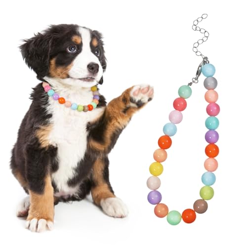 GALPADA Bonbonfarbener Kragen Hundehalsband Perlhundkragen Halskette Für Welpen Haustier -halsketten Perlenhalsband Für Hunde Halskette Für Hunde Regenbogen-hundehalsband Schmuck Harz von GALPADA