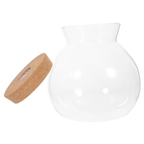 GALPADA Borosilikatglas Mikrolandschaftsflasche mit LED Licht DIY Flaschenterrarium Glatte Oberfläche Leicht zu Reinigen Transparente Ökologische Flasche für Kreative Kompakt und von GALPADA