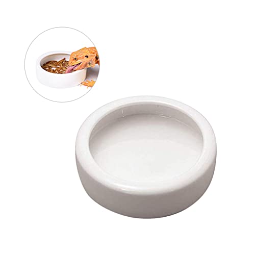 GALPADA Crawler Futter Und Wasserschale Für Garnelen Keramikschale Für Aquarien rutschfeste Futterschale Und Langlebig Kleine Fische von GALPADA
