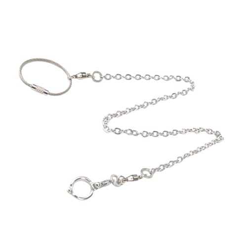 GALPADA Edelstahl-papageien-fußkette, Fußkettchen-Ring, Robuster Metall-fußring Mit Kette, Vogelgeschirr Für Nymphensittich-Training Im Freien, Haustier-vogelgeschirr, Leine-Set von GALPADA