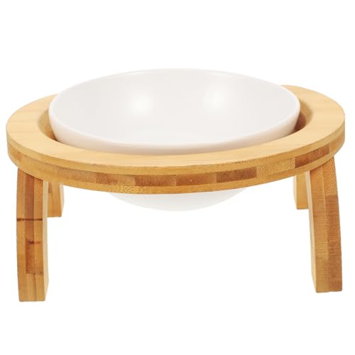 GALPADA Erhöhter Keramik Katzenfutter Napf mit Schrägem Spülmaschinenfest rutschfest und Leicht zu Reinigen für Katzen und Kleine Hunde Modernes Design für Komfortables Fressen von GALPADA