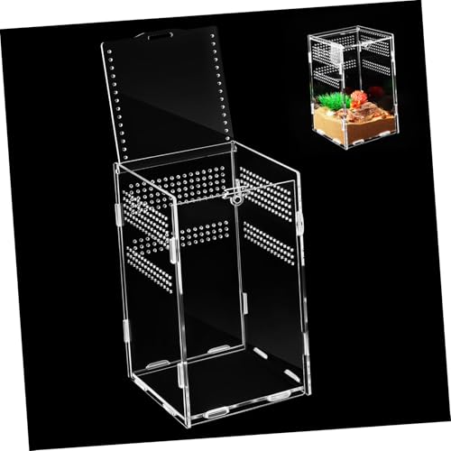 GALPADA Futterbox Kleines Spinnenterrarium Springspinnenterrarium Schildkrötenterrarium Set Eidechsenkäfig Reptilienaquarium Gecko Drachenspinnengehege Schlangenspielzeug von GALPADA