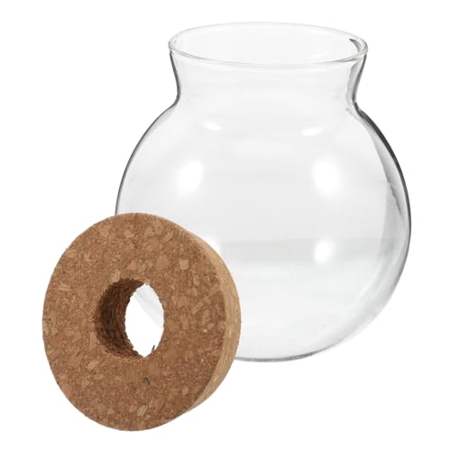 GALPADA Glas Terrarium mit Korkdeckel Rundes für Grünpflanzen und Luftpflanzen Kompakte Glasvase als Dekorativer Desktop fischbehälter Platzsparend und Transparent Stilvolles von GALPADA