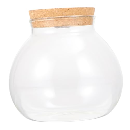 GALPADA Glas Terrarium mit Korkverschluss Hydroponische Pflanzenstation mit Led-licht Runde Glasvase für Pflanzen Dekorative Desktop Pflanzflasche für Zimmer und Büro von GALPADA
