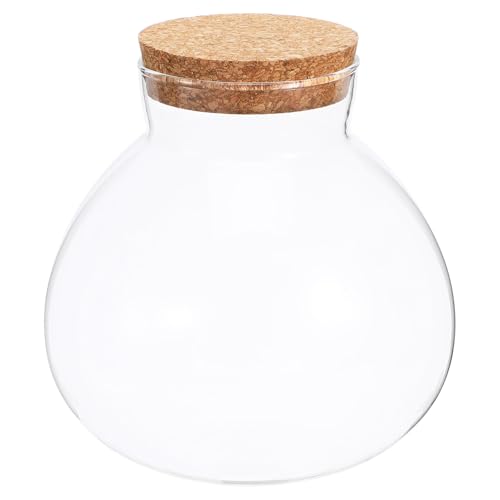 GALPADA Glasflasche für Mikrolandschaften Langlebige Deko Flasche mit Korkverschluss für Pflanzen Terrarien und DIY Projekte Transparente Wohnkultur von GALPADA