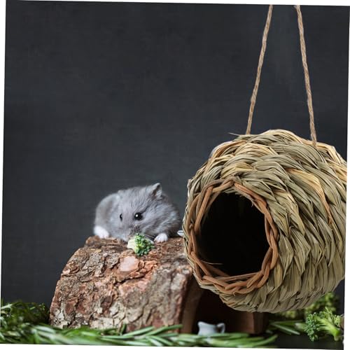 GALPADA Handgefertigtes Grasnest für Kleintiere Natürliches Wicker versteck Umweltfreundliches Handgeflochtenes Grashaus Privater Rückzugsort für Zwerghasen Hamster Meerschweinchen und GALPADA Handgefertigtes Grasnest für Kleintiere Natürliches Wicker versteck Umweltfreundliches Handgeflochtenes Grashaus Privater Rückzugsort für Zwerghasen Hamster Meerschweinchen und von GALPADA