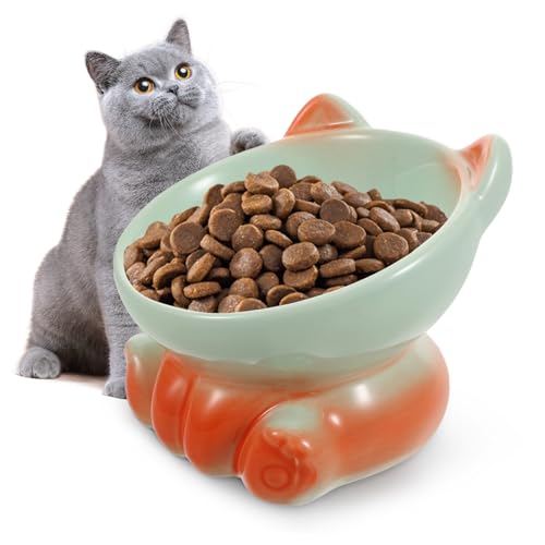 GALPADA Hochwertige Fressschale mit Rutsch Langsame Fütterung für Kätzchen und Ältere Haustiere Optimale Haltung für Besseres Essen GALPADA Hochwertige Fressschale mit Rutsch Langsame Fütterung für Kätzchen und Ältere Haustiere Optimale Haltung für Besseres Essen von GALPADA
