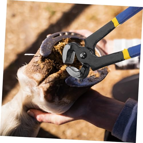 GALPADA Hufzange Pferde Scharfe Klingen Multifunktional für Pferde Schafe Ziegen Schnelles Trimmen Glatte Kanten Stallbedarf Leicht und Tragbar Hufe Reparieren und Pflegen GALPADA Hufzange Pferde Scharfe Klingen Multifunktional für Pferde Schafe Ziegen Schnelles Trimmen Glatte Kanten Stallbedarf Leicht und Tragbar Hufe Reparieren und Pflegen von GALPADA