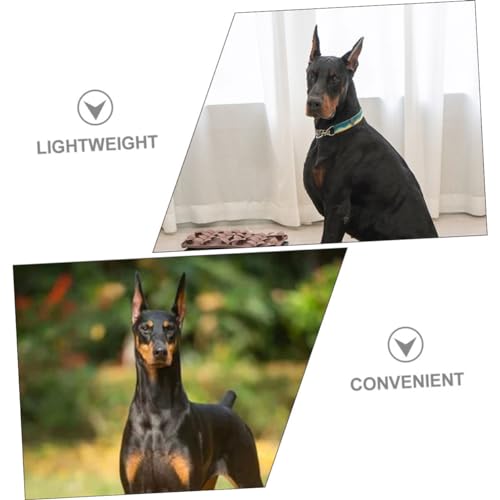 GALPADA Hundeohr Stütze Aufsteller Sanfte Ohrkorrektur Kleber Welpenzubehör Einfacher DIY Hundepflege Helfer für Stehende Ohren Geeignet für Dobermann Shiba Inu von GALPADA