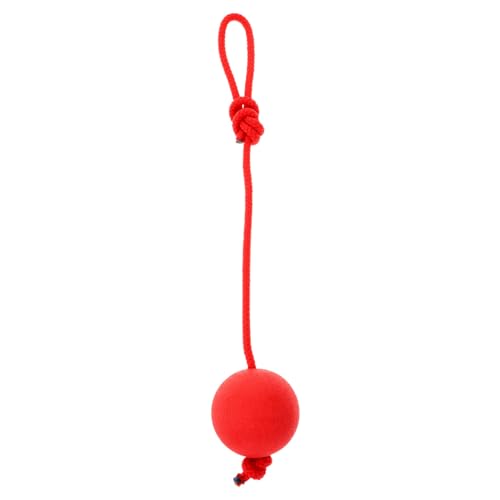 GALPADA Hundespielzeug Ball aus Strapazierfähigem Naturkautschuk mit Elastischem Seil Unzerstörbarer Kauspielzeug für Welpen und Hunde Großer Solider Trainingsball für Zufällige Farbe von GALPADA