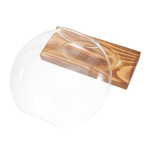 GALPADA Hydroponische Glasvase Mit Holzsockel Transparente Vase Für Pflanzenvermehrung Terrarium Für Fensterbank Oder Schreibtisch Für Dekoration von GALPADA