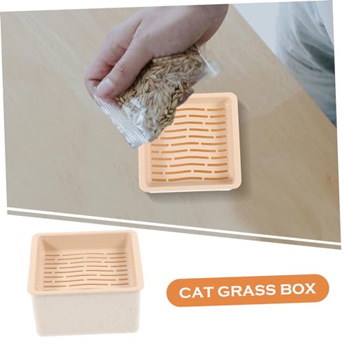 GALPADA Hydroponische Katzengras Pflanzbox aus Langlebigem Kunststoff Atmungsaktiv Leicht zu Reinigen Soilless Pflanzgefäß für Gesunde Katzenpflanzen für Haushaltsgebrauch GALPADA Hydroponische Katzengras Pflanzbox aus Langlebigem Kunststoff Atmungsaktiv Leicht zu Reinigen Soilless Pflanzgefäß für Gesunde Katzenpflanzen für Haushaltsgebrauch von GALPADA
