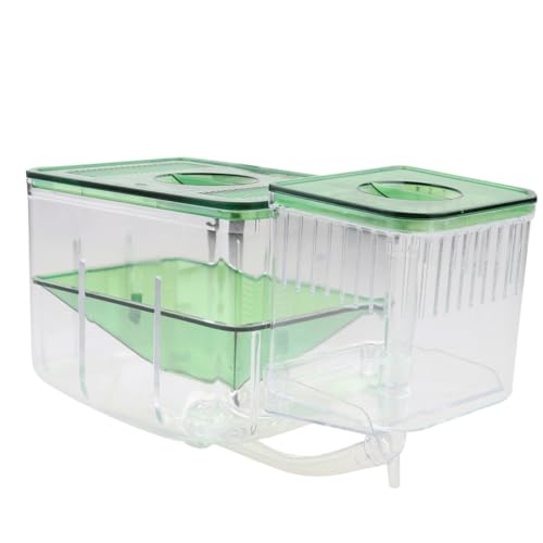 GALPADA Isolierte Aquarium Zuchtbox aus Transparentem Acryl mit Schutzfunktion für Fischbrut und Garnelen Aufzuchtbecken zur Sicheren Fisch Shrimpzucht Verbessertes Überleben der von GALPADA