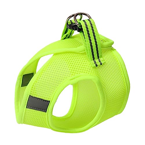 GALPADA Katzen Brustgeschirr aus Atmungsaktivem Material Weste Design Leichtes und Strapazierfähiges Katzengeschirr mit Brustschutz Verstellbar Geeignet für Kätzchen Farbe Fruchtgrün Xs von GALPADA
