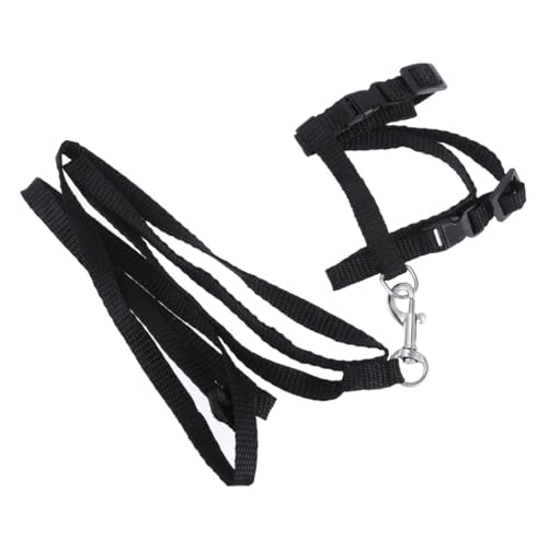 GALPADA Katzenhalsband Und Geschirr Verstellbares Katzengeschirr Für Haustiere Nylon Katzengeschirr Für Kitten Und Katzen von GALPADA