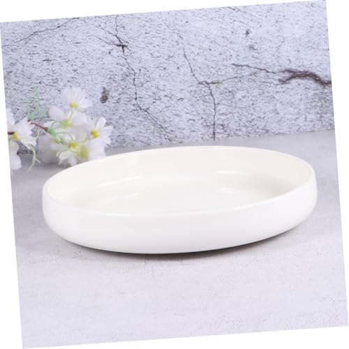 GALPADA Keramik Futternapf für Reptilien Durchmesser Weiß Stabiles Futter Wasserschälchen für Schildkröten Eidechsen Frösche Leicht zu Reinigen Kippsicher und Korrosionsbeständig GALPADA Keramik Futternapf für Reptilien Durchmesser Weiß Stabiles Futter Wasserschälchen für Schildkröten Eidechsen Frösche Leicht zu Reinigen Kippsicher und Korrosionsbeständig von GALPADA
