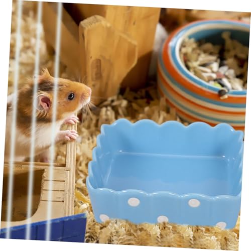 GALPADA Keramik Hamster Futternapf rutschfest Futtertrog für Meerschweinchen Kleintiere Napf Schwerer Napf Stabil gegen Umkippen für Hamster Chinchilla Eichhörnchen Zufällige Farbe GALPADA Keramik Hamster Futternapf rutschfest Futtertrog für Meerschweinchen Kleintiere Napf Schwerer Napf Stabil gegen Umkippen für Hamster Chinchilla Eichhörnchen Zufällige Farbe von GALPADA