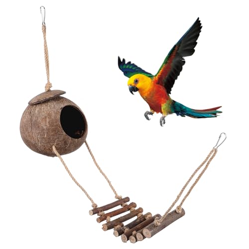 GALPADA Kokosnussschalen Versteckhöhle Für Reptilien Mit Terrarium Ornament Für Leopardgeckos Schlangen Und Frösche Natürliche Versteckmöglichkeit Für Haustiere von GALPADA