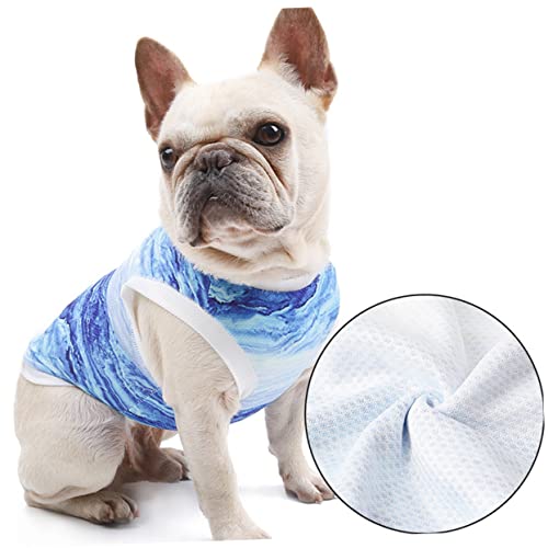 GALPADA Kühlweste für Hunde Xs Atmungsaktiv Superabsorbierend Waschbar Wiederverwendbar Leichte Haustierweste für Angenehme Kühlung im Sommer Einfach Anzulegen Strapazierfähiges Material von GALPADA