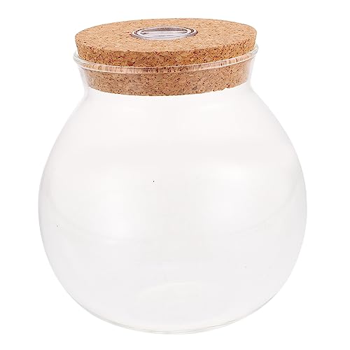 GALPADA Landschaftsflasche mit LED Licht Dekorativer Micro Landschaft Container für DIY Staubdicht Transparent für Wohnräume Schlafzimmer und Badezimmer GALPADA Landschaftsflasche mit LED Licht Dekorativer Micro Landschaft Container für DIY Staubdicht Transparent für Wohnräume Schlafzimmer und Badezimmer von GALPADA
