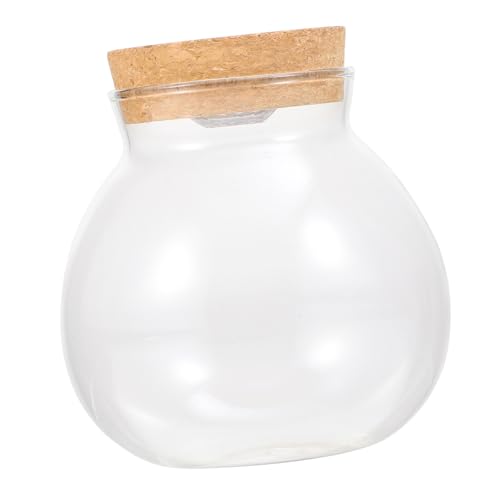 GALPADA Led-glasflasche Landschaftsflasche aus Borosilikat mit Led-licht Transparente Ökologische Micro-landschafts-dekoflasche für Kreative DIY-Dekoration Glatte Oberfläche Beleuchteter GALPADA Led-glasflasche Landschaftsflasche aus Borosilikat mit Led-licht Transparente Ökologische Micro-landschafts-dekoflasche für Kreative DIY-Dekoration Glatte Oberfläche Beleuchteter von GALPADA