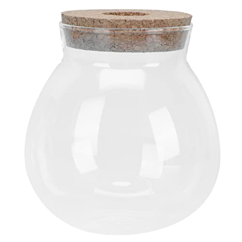 GALPADA Micro Landschaft Glasfischbecken Transparent Hydroponik Pflanzenschale Dekorativer Aquarium Behälter für Zimmer Büro Balkon Hydroponische Pflanzen von GALPADA