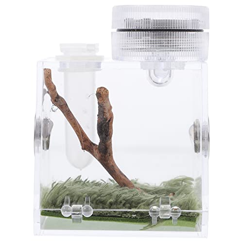 GALPADA Mini Sprungspinnen Habitat Box Tragbare Zuchtbox mit Lampe für Spinnen und Kleine Reptilien für Beobachtung und Fütterung Teiliges Einfach zu Reinigen GALPADA Mini Sprungspinnen Habitat Box Tragbare Zuchtbox mit Lampe für Spinnen und Kleine Reptilien für Beobachtung und Fütterung Teiliges Einfach zu Reinigen von GALPADA