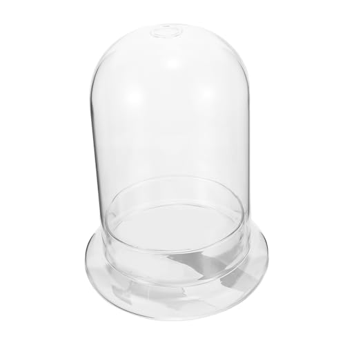 GALPADA Moos-Öko-Flasche Hochzeit für live mit Aquarium groß Landschaft Pflanzen klare Vase Gla -Terrarium Mini -Terrariumflasche Schreibtisch-Terrarium Terrarienflasche Glas Transparent von GALPADA
