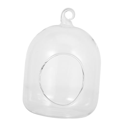 GALPADA Moos Terrarium Glasflasche DIY Pflanzen für Bürodekoration Pflegeleichtes Vielseitiges Pflanzgefäß für Moderne Wohnkultur GALPADA Moos Terrarium Glasflasche DIY Pflanzen für Bürodekoration Pflegeleichtes Vielseitiges Pflanzgefäß für Moderne Wohnkultur von GALPADA