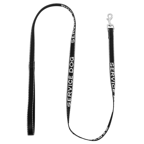 GALPADA Multifunktionale Tragbare Hundeleine aus Strapazierfähigem Nylon für Kleine Hunde mit Geschirr Kombiniert Perfektes Zubehör für Outdoor Einsatz GALPADA Multifunktionale Tragbare Hundeleine aus Strapazierfähigem Nylon für Kleine Hunde mit Geschirr Kombiniert Perfektes Zubehör für Outdoor Einsatz von GALPADA