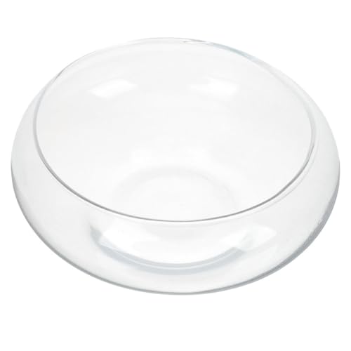 GALPADA Narzissentopf drinnen Pflanzgefäß dekorativ Anlage Blumentopf Fischglas aus Glas klarer Topf Glas Terrarium Bowl Clear Fish Bowl Kleine saftige Töpfe Transparente Pflanztöpfe GALPADA Narzissentopf drinnen Pflanzgefäß dekorativ Anlage Blumentopf Fischglas aus Glas klarer Topf Glas Terrarium Bowl Clear Fish Bowl Kleine saftige Töpfe Transparente Pflanztöpfe von GALPADA