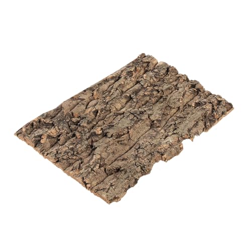 GALPADA Natürliche Baumrinde Terrarium Hintergrund Dekoration Klettermöglichkeit für Echsen und Schildkröten Komfortables Habitat Einfache Nutzung Dekorativer Terrarien Backboard von GALPADA