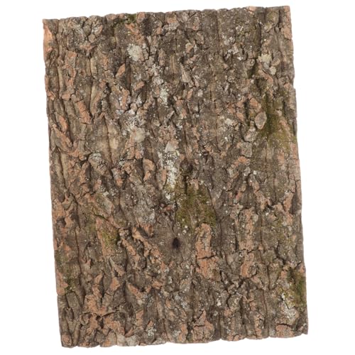 GALPADA Natürliche Korkrinde Terrarium Deko Reptilien Kletterplattform Robust Sicher für Schildkröten und Kleine Haustiere Langlebig Natürlich GALPADA Natürliche Korkrinde Terrarium Deko Reptilien Kletterplattform Robust Sicher für Schildkröten und Kleine Haustiere Langlebig Natürlich von GALPADA