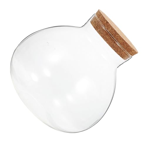 GALPADA Ökologische Mikrolandschaftsflasche Landschaft Flasche Rundes Terrarium Querformat Glasflasche Mikropflanzenglas Knospenvase Luftpflanzenglas rundes Terrarienglas Kork Transparent von GALPADA