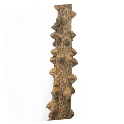 GALPADA Papageien-spielständer Aus Naturholz Vogelständer Mit Sitzstangen Und Spielzeug Für Papageien Sittiche Und Kleine Vögel Zum Ausruhen Und Spielen Im Vogelkäfig von GALPADA