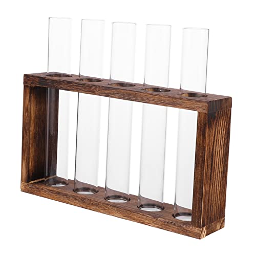 GALPADA Reagenzglas Vase Für Hydroponische Pflanzen Dekoratives Terrarium Für Große Glasvase Für Blüten Und Sukkulenten Transparentes Pflanzgefäß Für Indoor Dekoration von GALPADA