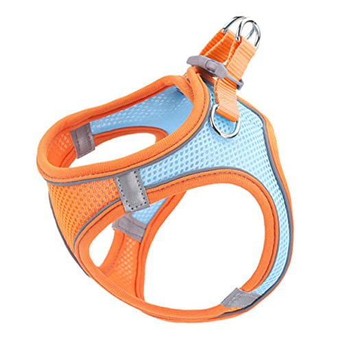 GALPADA Reflektierende Hundeweste mit Leine Atmungsaktives Brustgeschirr für Kleine Hunde und Katzen für Bequem und Langlebig Set Orange GALPADA Reflektierende Hundeweste mit Leine Atmungsaktives Brustgeschirr für Kleine Hunde und Katzen für Bequem und Langlebig Set Orange von GALPADA