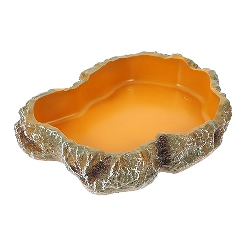 GALPADA Reptilien Futter und Wassernapf aus Hochwertigem Resin Terrarium Zubehör für Schildkröten Geckos und Andere Reptilien Leicht zu Reinigen und Auslaufsicher GALPADA Reptilien Futter und Wassernapf aus Hochwertigem Resin Terrarium Zubehör für Schildkröten Geckos und Andere Reptilien Leicht zu Reinigen und Auslaufsicher von GALPADA