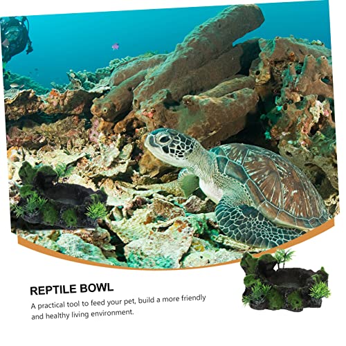 GALPADA Reptilien Futternapf aus Naturgetreuem Harz Futter und Wasserschale für Gecko Schildkröte und Kleine Echsen Dekoratives Terrarium Accessoire Sicher und Praktisch GALPADA Reptilien Futternapf aus Naturgetreuem Harz Futter und Wasserschale für Gecko Schildkröte und Kleine Echsen Dekoratives Terrarium Accessoire Sicher und Praktisch von GALPADA