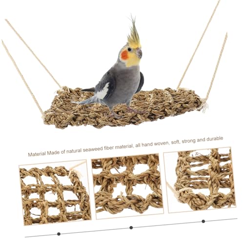 GALPADA Reptilien Hängematte aus Natürlichem Seegras Kleines Kletterspielzeug für Eidechsen Bartagame Leopardgecko Robust Waschbar Schnell Trocknend Fördert Bewegung und Aktives Verhalten GALPADA Reptilien Hängematte aus Natürlichem Seegras Kleines Kletterspielzeug für Eidechsen Bartagame Leopardgecko Robust Waschbar Schnell Trocknend Fördert Bewegung und Aktives Verhalten von GALPADA