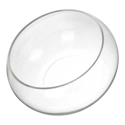 GALPADA Runde Glas Fischschale Multifunktionale Transparente Hydroponik Pflanzvase und Aquarium Stilvolles Tischdekor für Zuhause und Büro Geeignet für Fische Pflanzen Kerzen und GALPADA Runde Glas Fischschale Multifunktionale Transparente Hydroponik Pflanzvase und Aquarium Stilvolles Tischdekor für Zuhause und Büro Geeignet für Fische Pflanzen Kerzen und von GALPADA