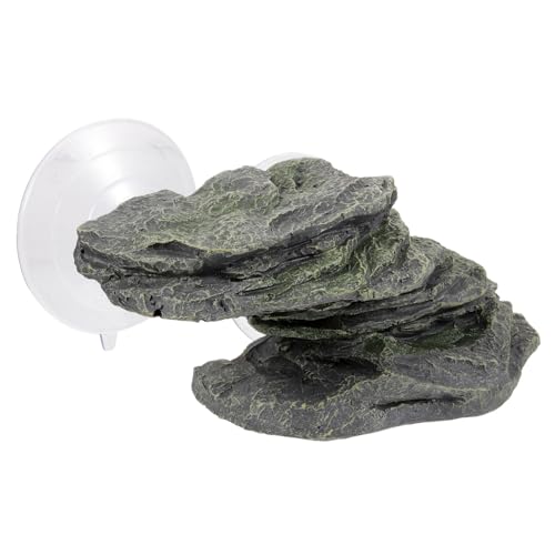GALPADA Schildkröten Basking Plattform Dekorative Kletterfläche für Aquarien und Terrarien für Landschildkröten und Andere Reptilien Erleichtert das Sonnenbaden Kletteraktivitäten GALPADA Schildkröten Basking Plattform Dekorative Kletterfläche für Aquarien und Terrarien für Landschildkröten und Andere Reptilien Erleichtert das Sonnenbaden Kletteraktivitäten von GALPADA