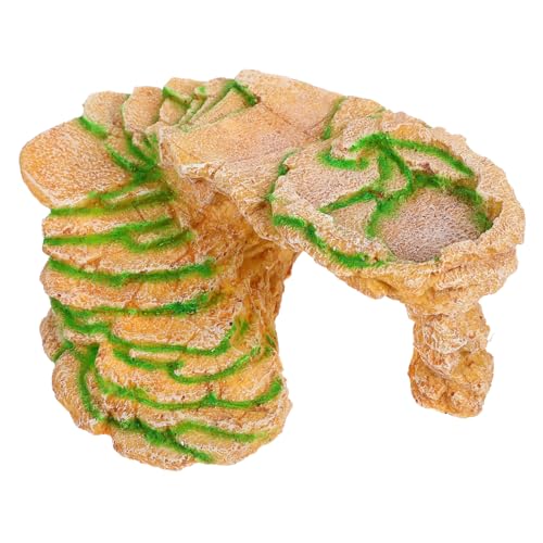GALPADA Schildkröten Sonnenbad Plattform aus Resin Kletterleiter und Versteckhöhle für Terrarium Langlebige Farblich Natürliche Schildkröten und Reptilien Dekoration GALPADA Schildkröten Sonnenbad Plattform aus Resin Kletterleiter und Versteckhöhle für Terrarium Langlebige Farblich Natürliche Schildkröten und Reptilien Dekoration von GALPADA